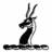 copthorneprep's profile image