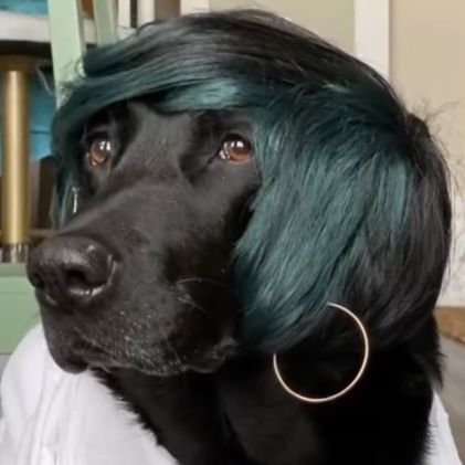 ncmtrip's profile picture. 