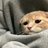 qqq_xy's profile image