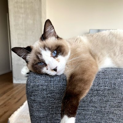 denmm's profile picture. 