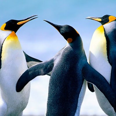 e_bouyssou's profile picture. 