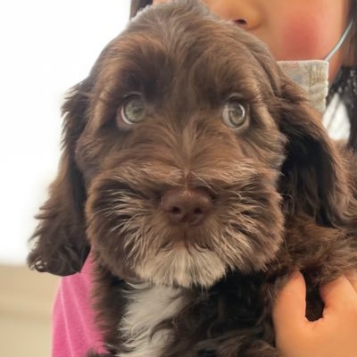 takahiro__okubo's profile picture. Mixing & Recording Engineer / Works：https://t.co/NmPwQyoSEx /https://t.co/7hffb2kT5F /気軽にお問い合わせください！