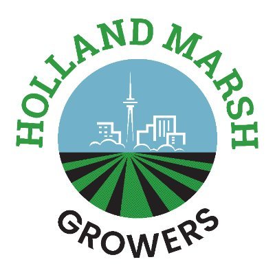 The Holland Marsh is a community of some 125 farms on 7,000 acres of low-lying land containing some of the richest farmland in Ontario.