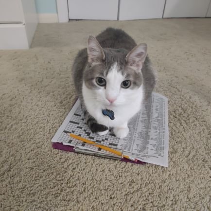 LilaF1987's profile picture. Mom, wife, teacher, cat lady. Vote blue!