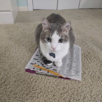 Lila F π§‘ππ§‘π (@lilaf1987) 's Twitter Profile Photo Lila F π§‘ππ§‘π (@lilaf1987) 's Twitter Profile Photo