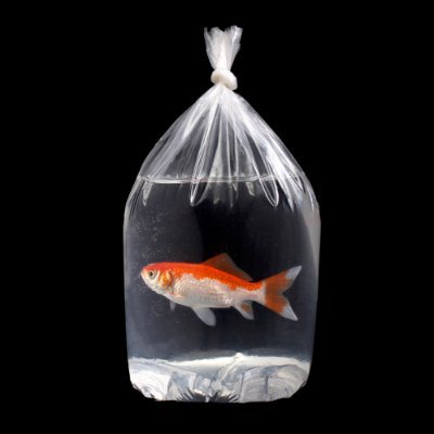 Plasticwastenft's profile picture. Visual artist l Creative - Check out my #NFT Collection👇🏾