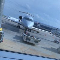 camo☀️✈️ (@oldaccart) 's Twitter Profile
