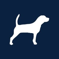 The Harrier (@the__harrier) 's Twitter Profile Photo