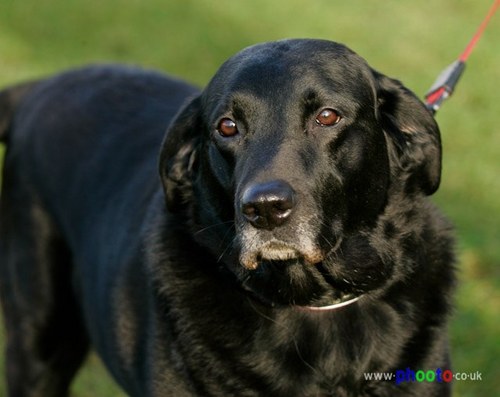 chuckall's profile picture. 