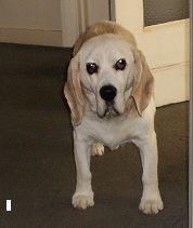 katevanl's profile picture. just trying