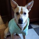 Gabriel Allison - @Gabriel63275156 - Twitter