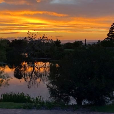 Resident of Helderberg Village, a retirement estate with a golf course. It feels more like a resort, surrounded by beautiful views of mountains and the sea.