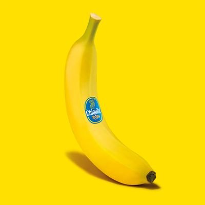 Art director, brand designer, web/UX/UI designer