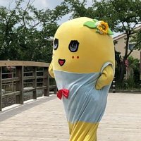 めぐみ (@m274m274) 's Twitter Profile