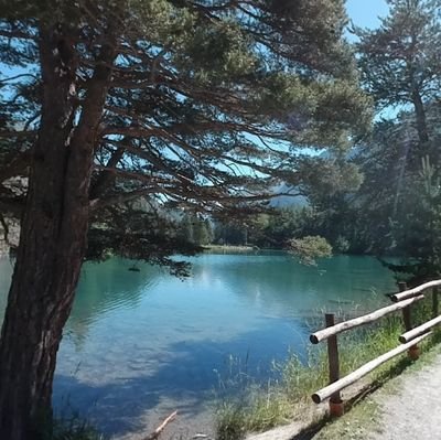 dardrif's profile picture. 