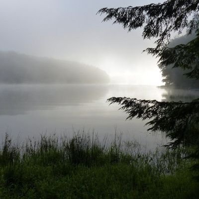 Raabih658734's profile picture. 