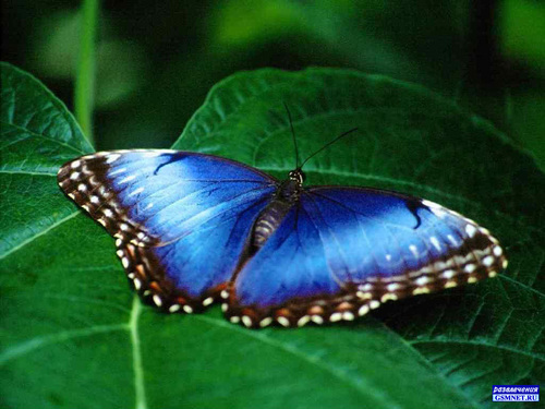 notes_needlewom's profile picture. Я домохозяйка, мама замечательной доченьки и рукодельница. Но на этом круг моих интересов не заканчиваться...