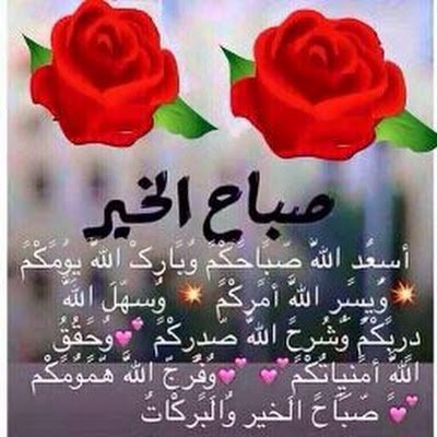 BedirReda's profile picture. 