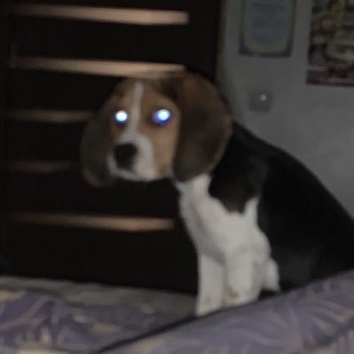 alwayswannakil2's profile picture. 