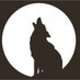 Coyote (@BoredInTucson) Twitter profile photo