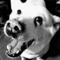 Claire (@claire54783043) 's Twitter Profile Photo Claire (@claire54783043) 's Twitter Profile Photo