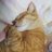 プス&あんず💙🐈🇺🇦のアイコン
