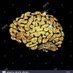 Gold Cerebrum (@cerebrumgold) Twitter profile photo Gold Cerebrum (@cerebrumgold) Twitter profile photo