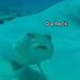 Da heck (@naheenahumnahee) Twitter profile photo Da heck (@naheenahumnahee) Twitter profile photo
