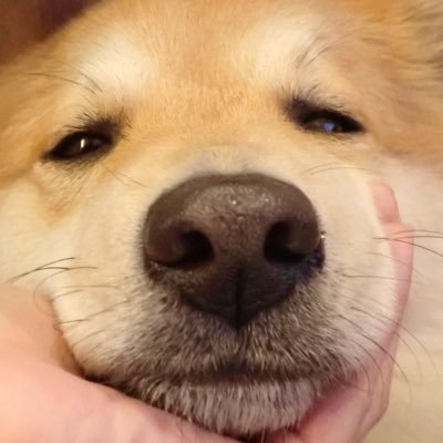 anastasiaさんのプロフィール画像