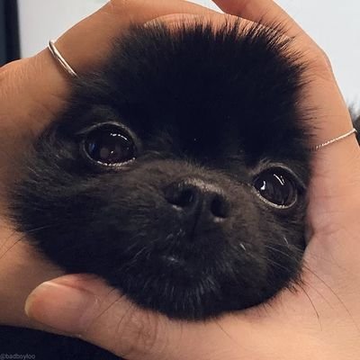 |1999
|I saw Bloo in Paris ! /05.12.21/🇨🇵🌙
He is the cutest person i have met in my life !
I saw Ateez in Paris ! /08.03.23/🇨🇵😄