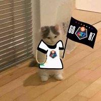 Hirahomi (@hirahomi143) 's Twitter Profile Photo