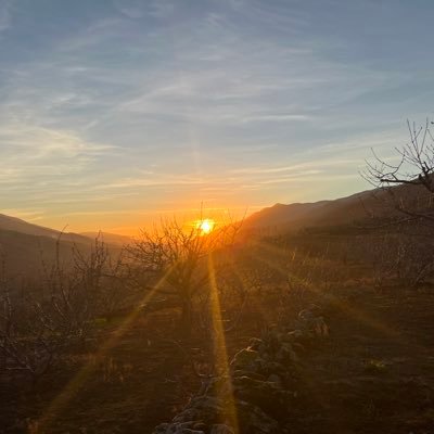 ginebraortiz's profile picture. 