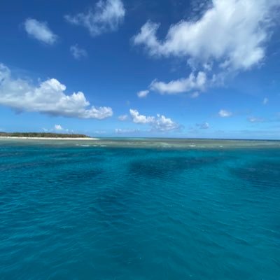 Market leading swimming pool, aquaponic & aquatic design & construction firm. Based in Brisbane & available for projects throughout Australia and Asia Pacific