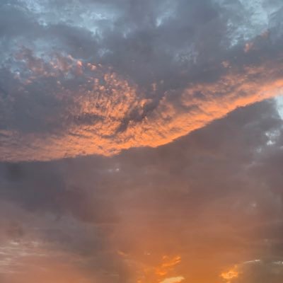 zimbotting's profile picture. The smack down on any CT FUD