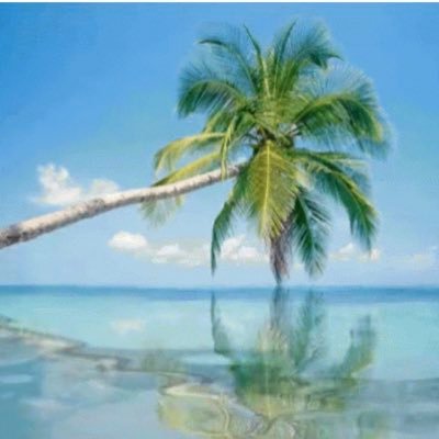 JackClaire77's profile picture. No.