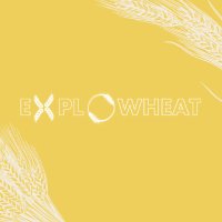 Explowheat PRIMA Project (@explowheatprima) 's Twitter Profile