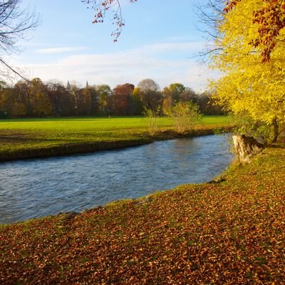 SalehKh9188's profile picture. 