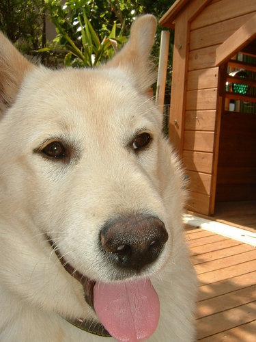 rikarin_ciccone's profile picture. 祝！映画F1/エフワン📀どれを買うか未だに迷ってる🐑ルナシーやマドンナ、ジャンル問わずの音楽スキー！5時夢ラジオV系ラブ🩷ブラピの出演作はファイトクラブ！デビッドフィンチャー監督作が1番好き！503の歌を今も歌う岩手ラバー🩷