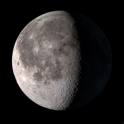 sekarthekid's profile picture. sekarlet disayang mingyu