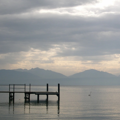 OhMyRti's profile picture. 