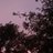 Mercedes_estela's profile image