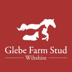 Glebe Farm Stud