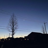 シイ💎 (@cs867ntk) 's Twitter Profile