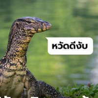 เหวัชระคนซื่อ (@here_jingjing) 's Twitter Profile Photo เหวัชระคนซื่อ (@here_jingjing) 's Twitter Profile Photo