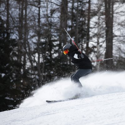 27歳 フリースキーヤー Volkl Revolt90/104北海道から本州来たよ