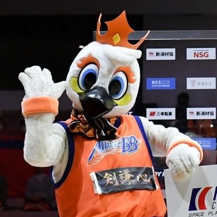 一時的に🗝かける時あり。

ほぼ🏀 Bリーグ／新潟アルビレックスbb
専用垢 
島の人