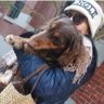 shoshinko's profile picture. YouTubeで柴崎先生の動画と出会い、視聴者として楽しんでいましたが、ある日「私にも描けるかも！描いてみたい！」と思いました。
還暦の初心者🔰の記録としてYouTubeに投稿していきます🔥