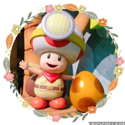 まめ🍄さんのプロフィール画像