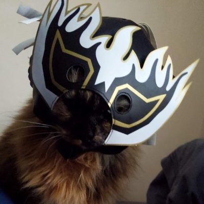 Pro-wrestling fan account. Not too active on here currently. Art account is @thistle_art

プロレスファン。デスぺ選手押し。日本語OKですけど、僕の日本語が下手でごめんなさい。イラストアカウント @thistle_art