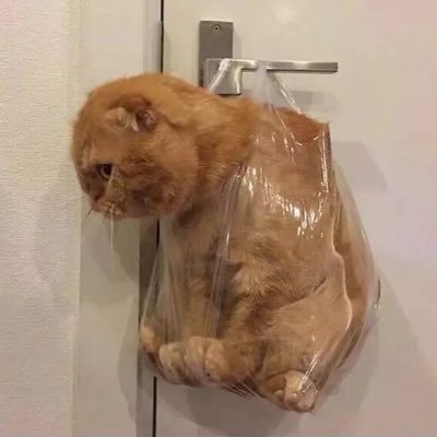 Yuana47's profile picture. PhD student of UoM. Focus on international trade law, labour law, and global governance